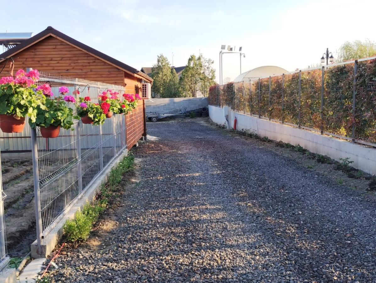 Cabanele Deltei Dunavăţu de Jos エクステリア 写真
